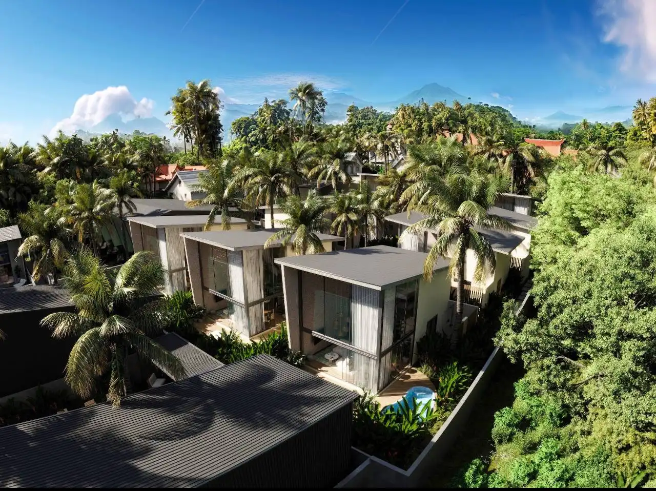 Neat House Villa complex image